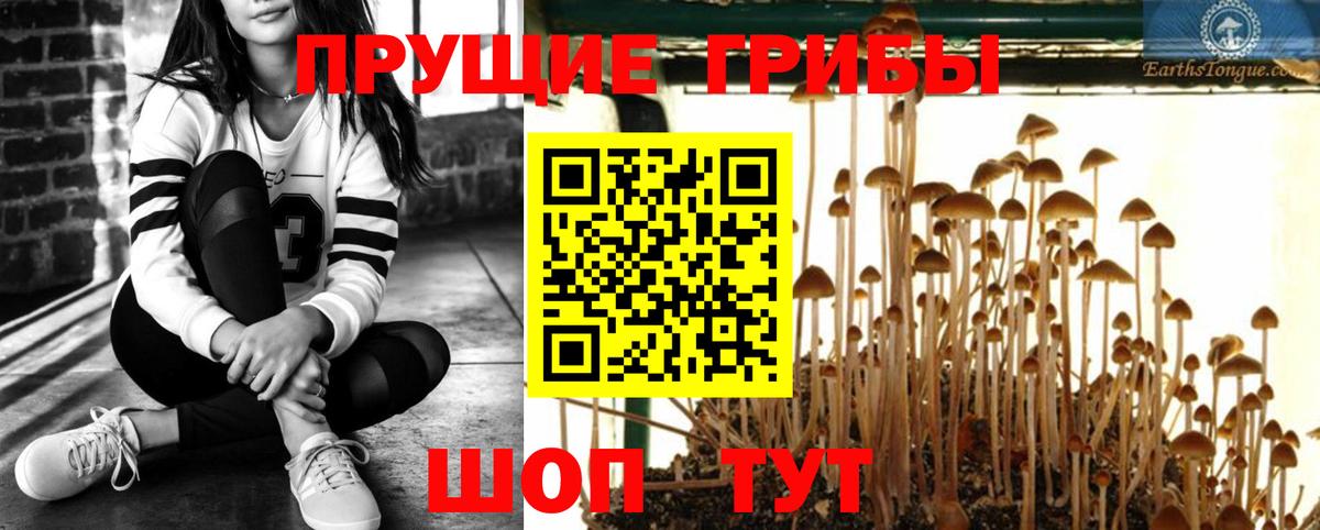 Галлюциногенные грибы Psilocybine cubensis  Вход с VPN  Набережные Челны  где найти   Галлюциногенные грибы MAGIC MUSHROOMS 